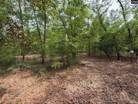 Rrf 1 Rogers Cemetery Road Salley SC 29137