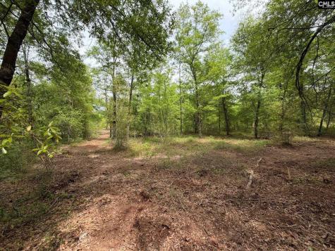 Rrf 1 Rogers Cemetery Road Salley SC 29137