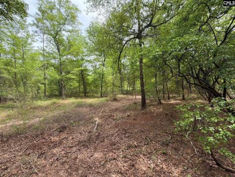 Rrf 1 Rogers Cemetery Road Salley SC 29137