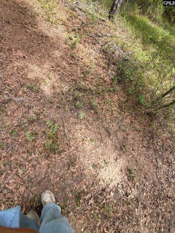 Rrf 1 Rogers Cemetery Road Salley SC 29137