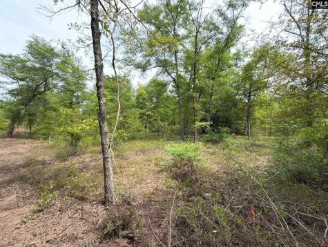 Rrf 1 Rogers Cemetery Road Salley SC 29137