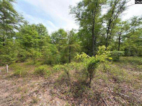 Rrf 1 Rogers Cemetery Road Salley SC 29137