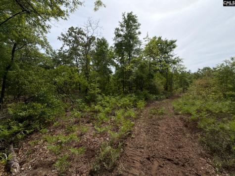 Rrf 1 Rogers Cemetery Road Salley SC 29137