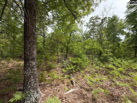 Rrf 1 Rogers Cemetery Road Salley SC 29137