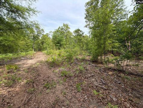 Rrf 1 Rogers Cemetery Road Salley SC 29137