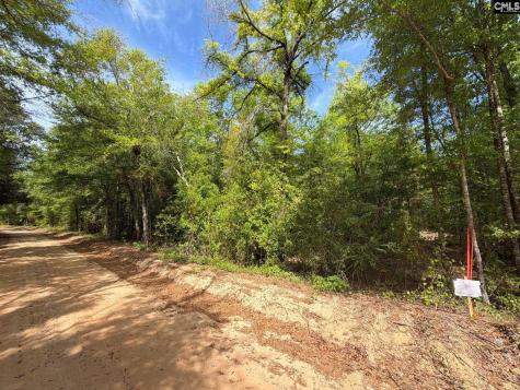 Rrf 1 Rogers Cemetery Road Salley SC 29137