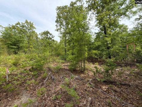 Rrf 1 Rogers Cemetery Road Salley SC 29137