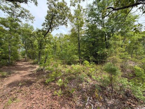 Rrf 1 Rogers Cemetery Road Salley SC 29137