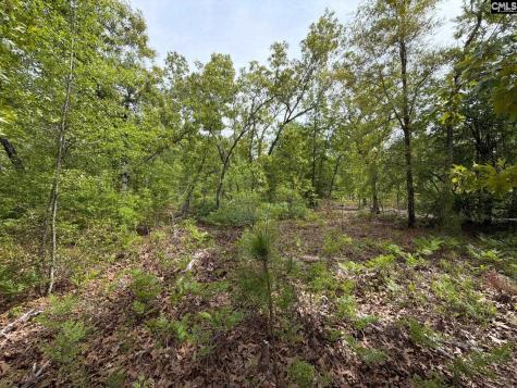 Rrf 1 Rogers Cemetery Road Salley SC 29137