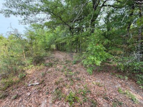 Rrf 1 Rogers Cemetery Road Salley SC 29137