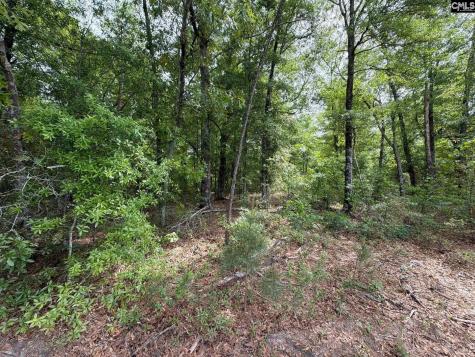 Rrf 1 Rogers Cemetery Road Salley SC 29137