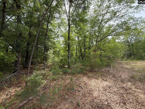 Rrf 1 Rogers Cemetery Road Salley SC 29137