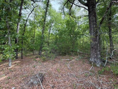 Rrf 1 Rogers Cemetery Road Salley SC 29137