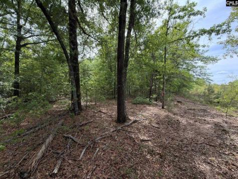 Rrf 1 Rogers Cemetery Road Salley SC 29137