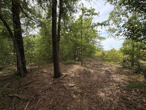 Rrf 1 Rogers Cemetery Road Salley SC 29137