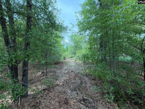Rrf 1 Rogers Cemetery Road Salley SC 29137
