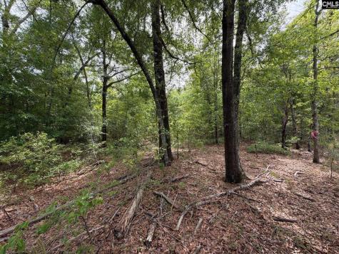 Rrf 1 Rogers Cemetery Road Salley SC 29137