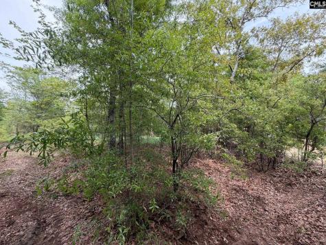 Rrf 1 Rogers Cemetery Road Salley SC 29137