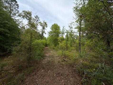 Rrf 1 Rogers Cemetery Road Salley SC 29137