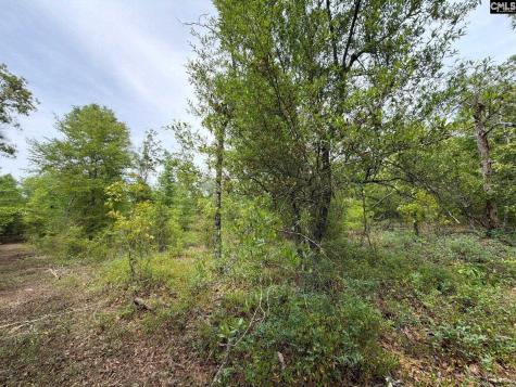 Rrf 1 Rogers Cemetery Road Salley SC 29137