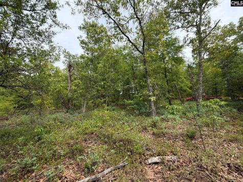 Rrf 1 Rogers Cemetery Road Salley SC 29137
