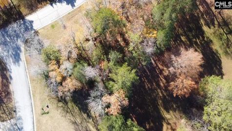 101 Summer Branch Lane Irmo SC 29063