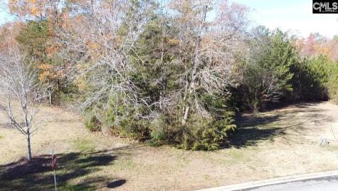 101 Summer Branch Lane Irmo SC 29063