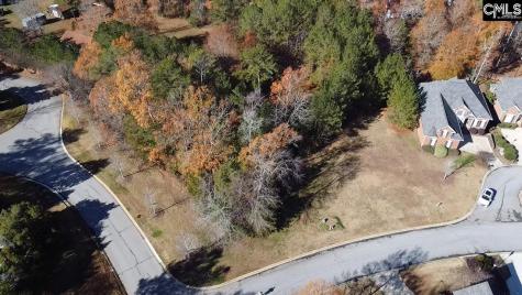 101 Summer Branch Lane Irmo SC 29063