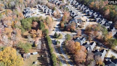 101 Summer Branch Lane Irmo SC 29063