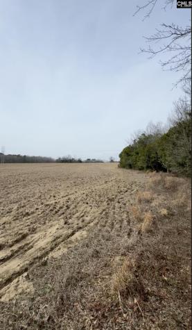 Tbd Firetower Road Springfield SC 29146