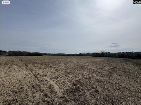 Tbd Firetower Road Springfield SC 29146