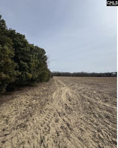 Tbd Firetower Road Springfield SC 29146
