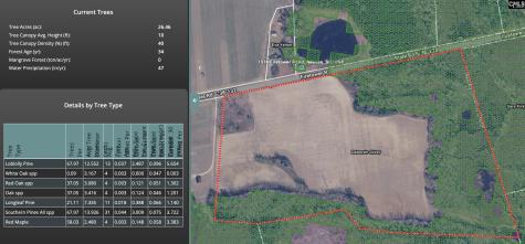 Tbd Firetower Road Springfield SC 29146