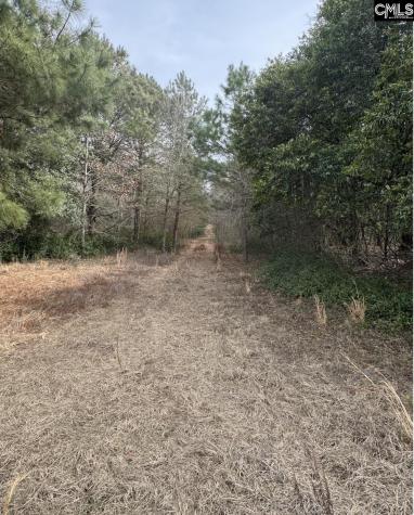 Tbd Firetower Road Springfield SC 29146