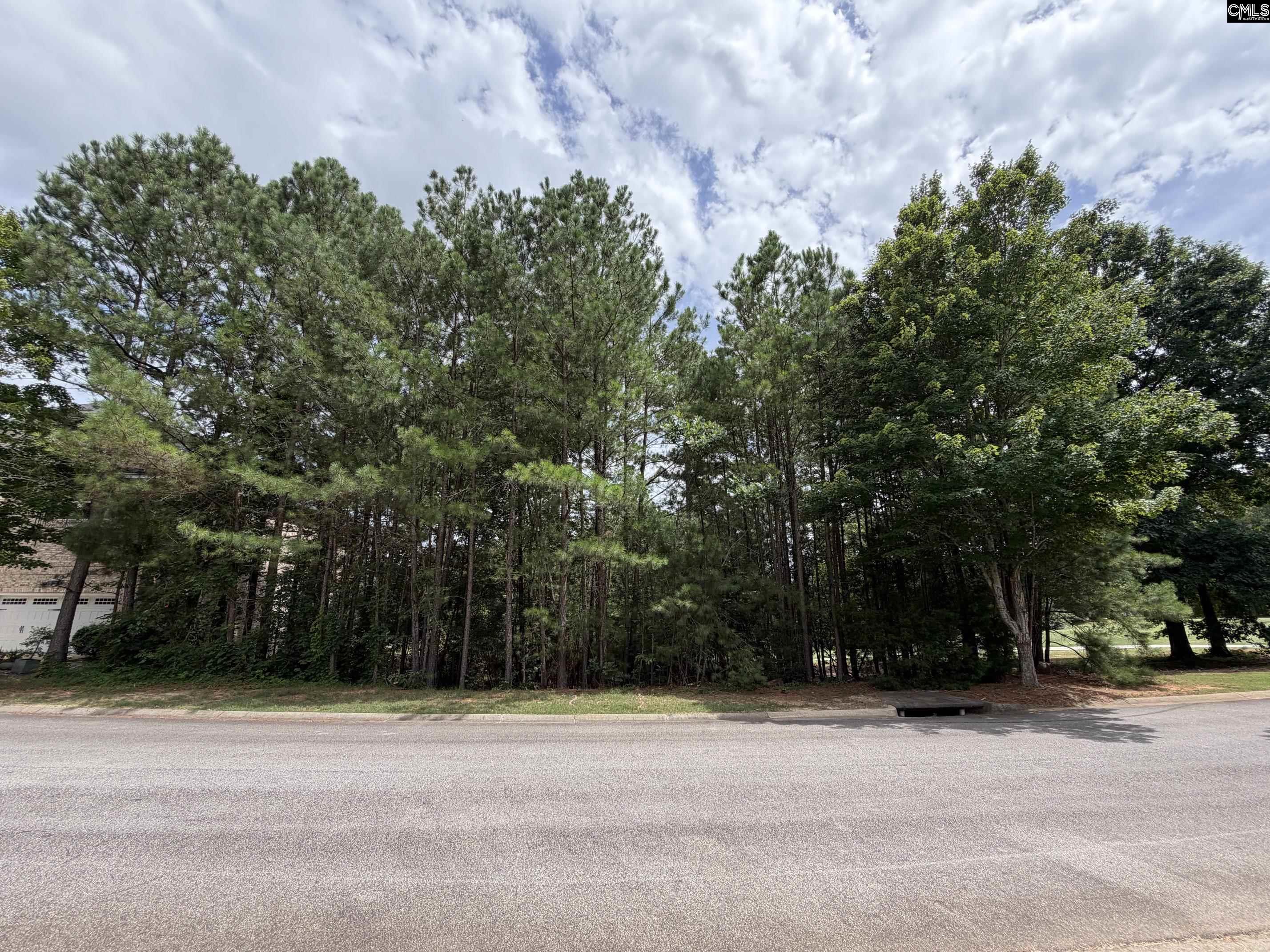 122 Peppermint Lane Blythewood SC 29016
