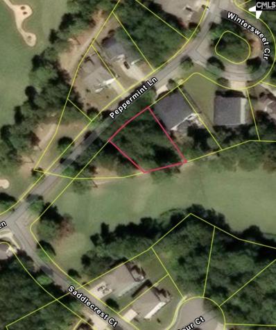 122 Peppermint Lane Blythewood SC 29016