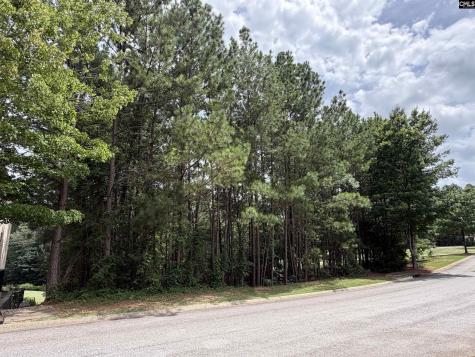 122 Peppermint Lane Blythewood SC 29016
