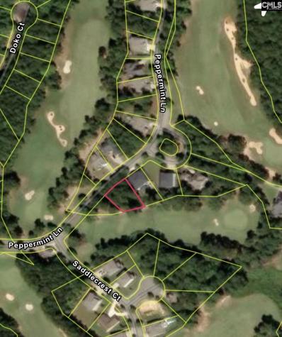 122 Peppermint Lane Blythewood SC 29016