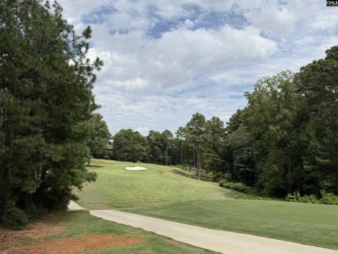 122 Peppermint Lane Blythewood SC 29016