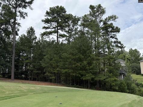 122 Peppermint Lane Blythewood SC 29016