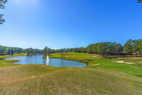 122 Peppermint Lane Blythewood SC 29016