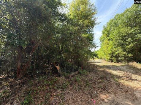 Rrf 4 Rogers Cemetery Road Salley SC 29137
