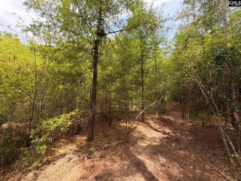Rrf 4 Rogers Cemetery Road Salley SC 29137