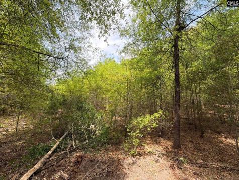 Rrf 4 Rogers Cemetery Road Salley SC 29137