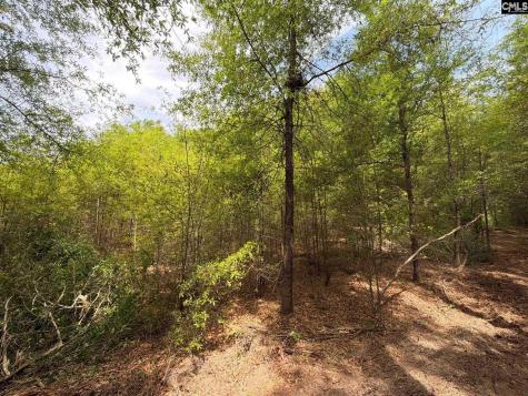 Rrf 4 Rogers Cemetery Road Salley SC 29137