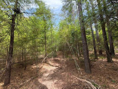 Rrf 4 Rogers Cemetery Road Salley SC 29137