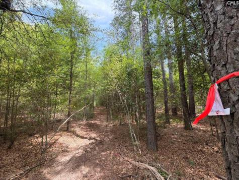 Rrf 4 Rogers Cemetery Road Salley SC 29137