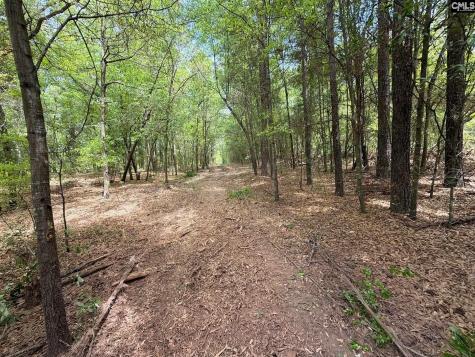 Rrf 4 Rogers Cemetery Road Salley SC 29137