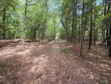 Rrf 4 Rogers Cemetery Road Salley SC 29137