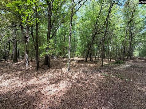 Rrf 4 Rogers Cemetery Road Salley SC 29137